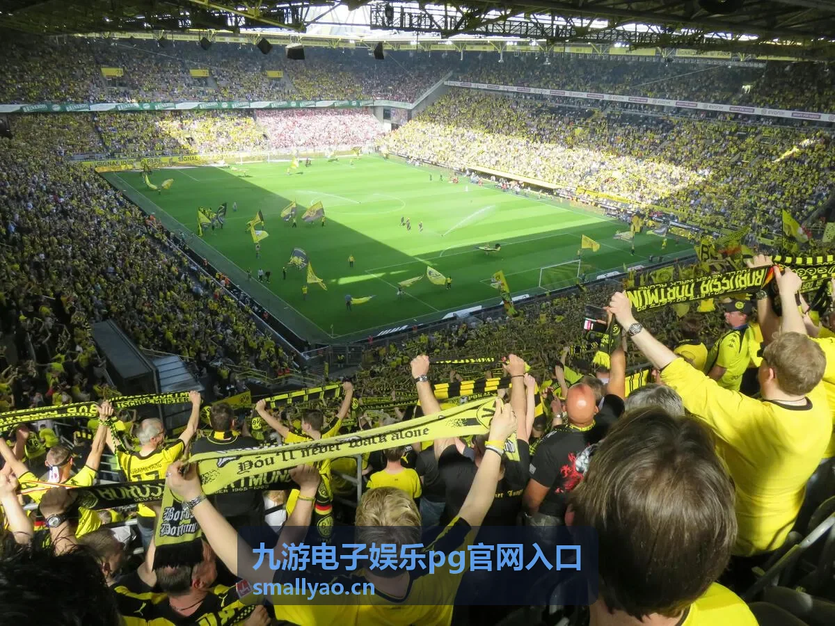 九游电子娱乐PG官网入口 热门电子游戏玩法指南