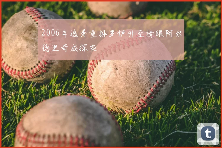 2006年选秀重排罗伊升至榜眼阿尔德里奇成探花