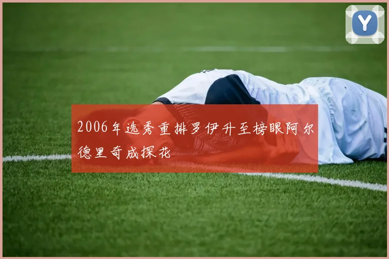 2006年选秀重排罗伊升至榜眼阿尔德里奇成探花