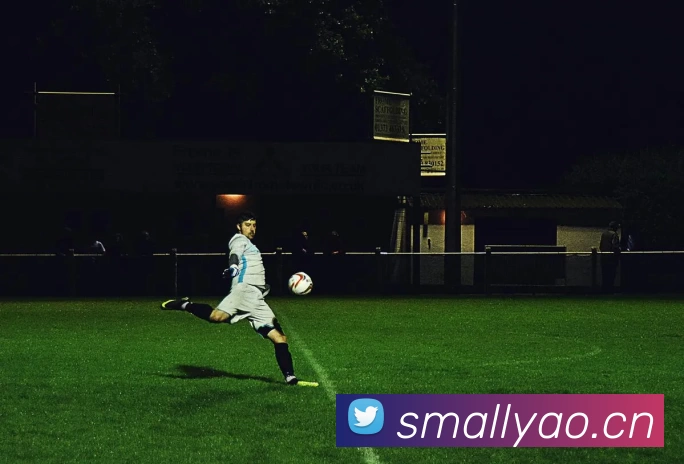 世界杯官方网络平台平台生态图